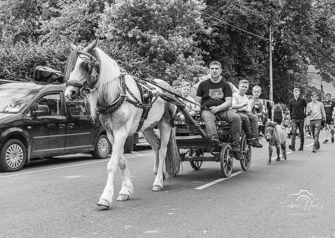 Borris Horse Fair 2023 (by Finbarr)